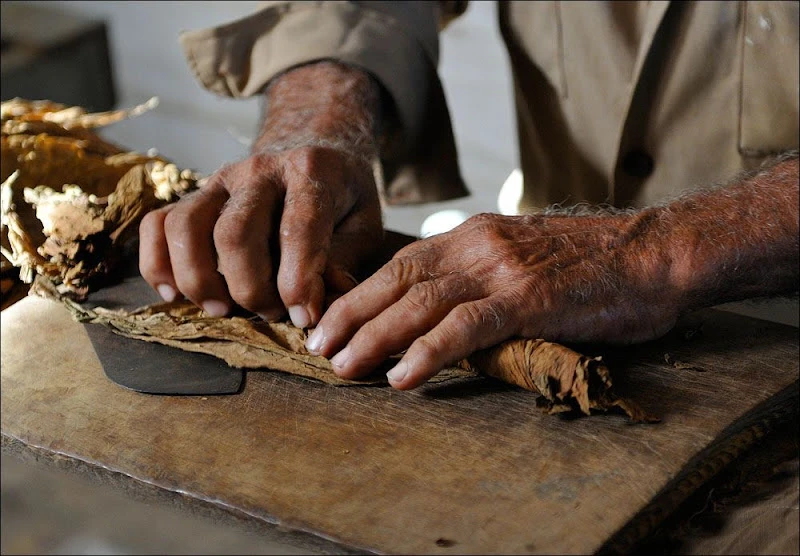 Cigarlands The rise and fall of the Cuban cigar empire
