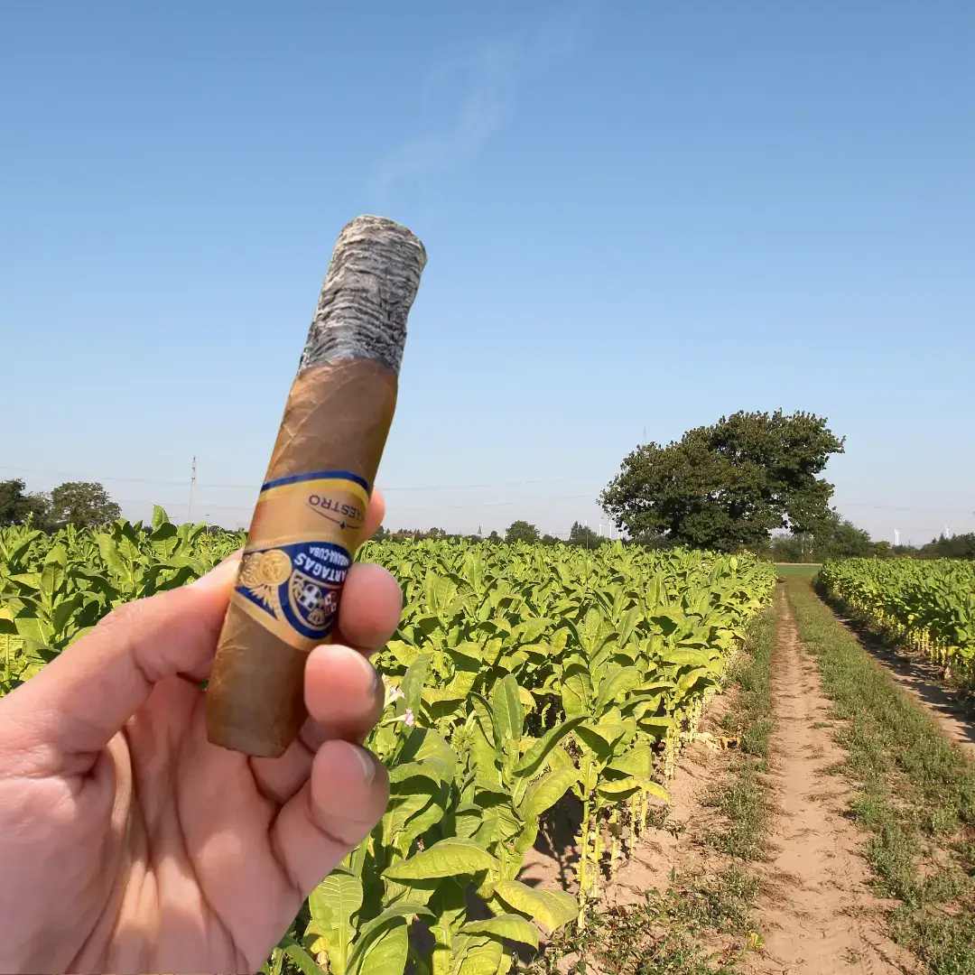 Cigarlands The ethics of excess. A smoky debate