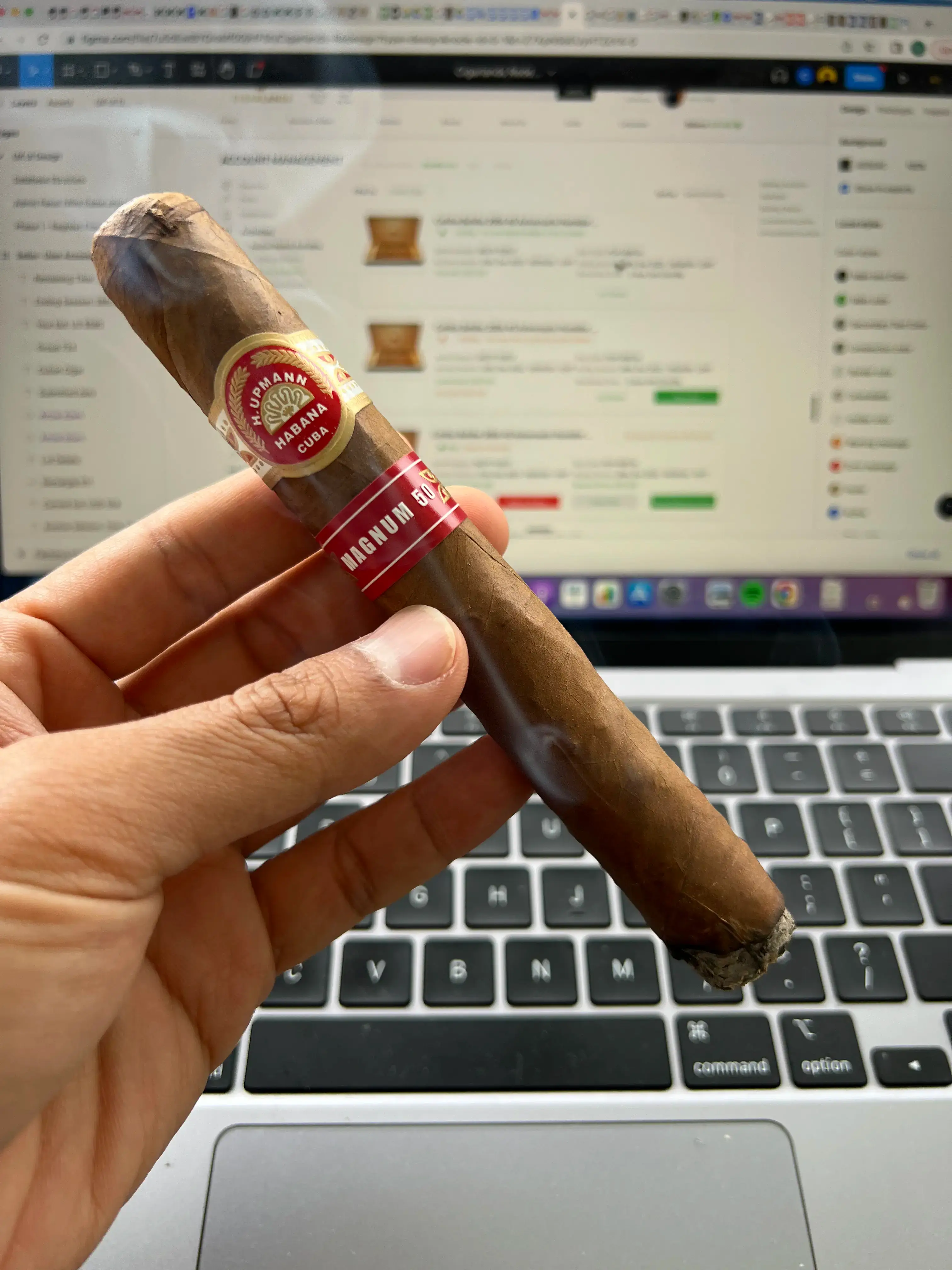 Cigarlands Accessibility in the digital age. Democratizing luxury?