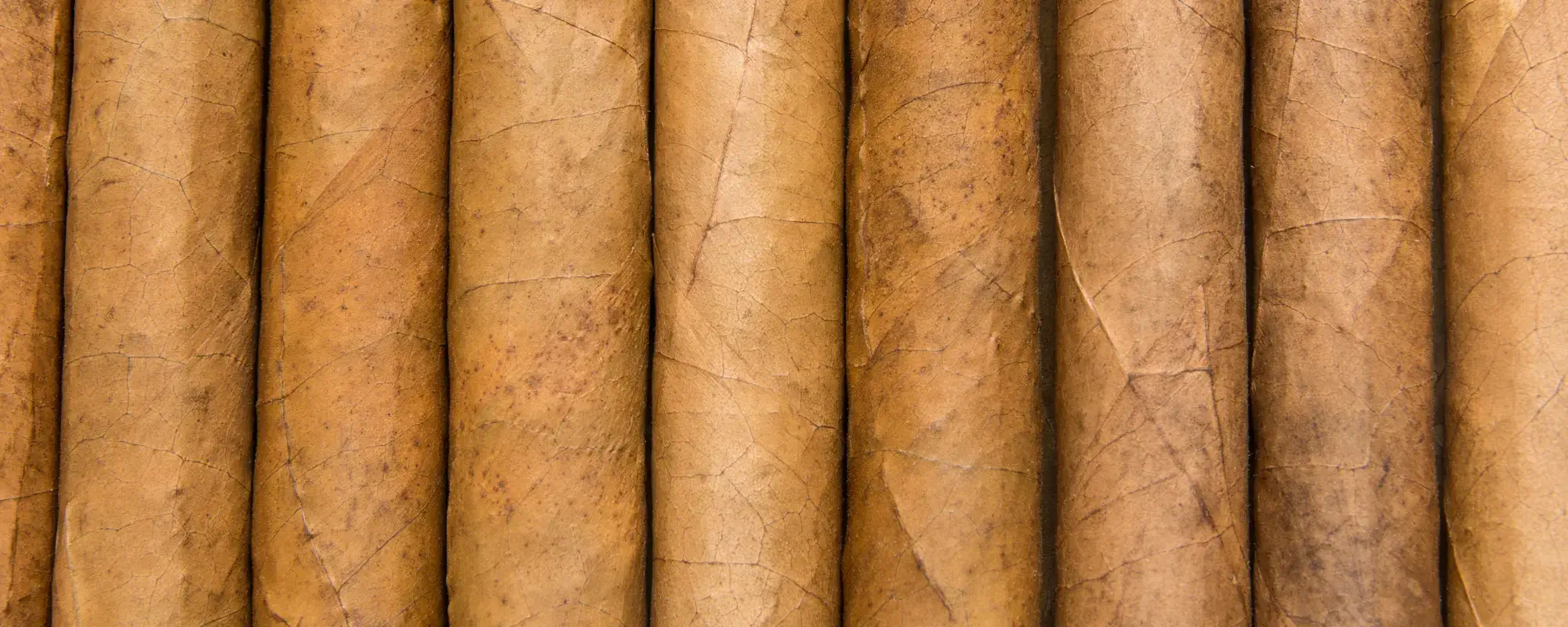Cigarlands Timing and Strategic Alignment